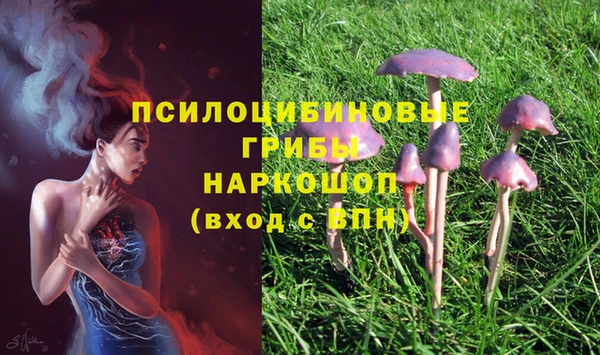 мяу мяу кристалл Алексин