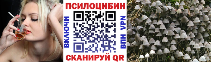 Псилоцибиновые грибы мухоморы  продажа наркотиков  Суровикино 
